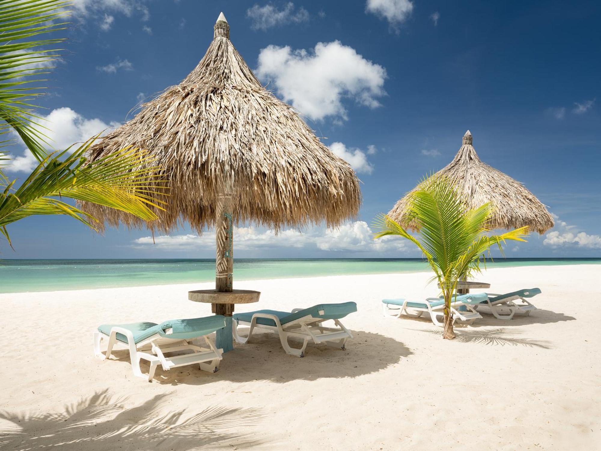 Boardwalk Boutique Hotel Aruba - Adults Only Palm Beach Dış mekan fotoğraf